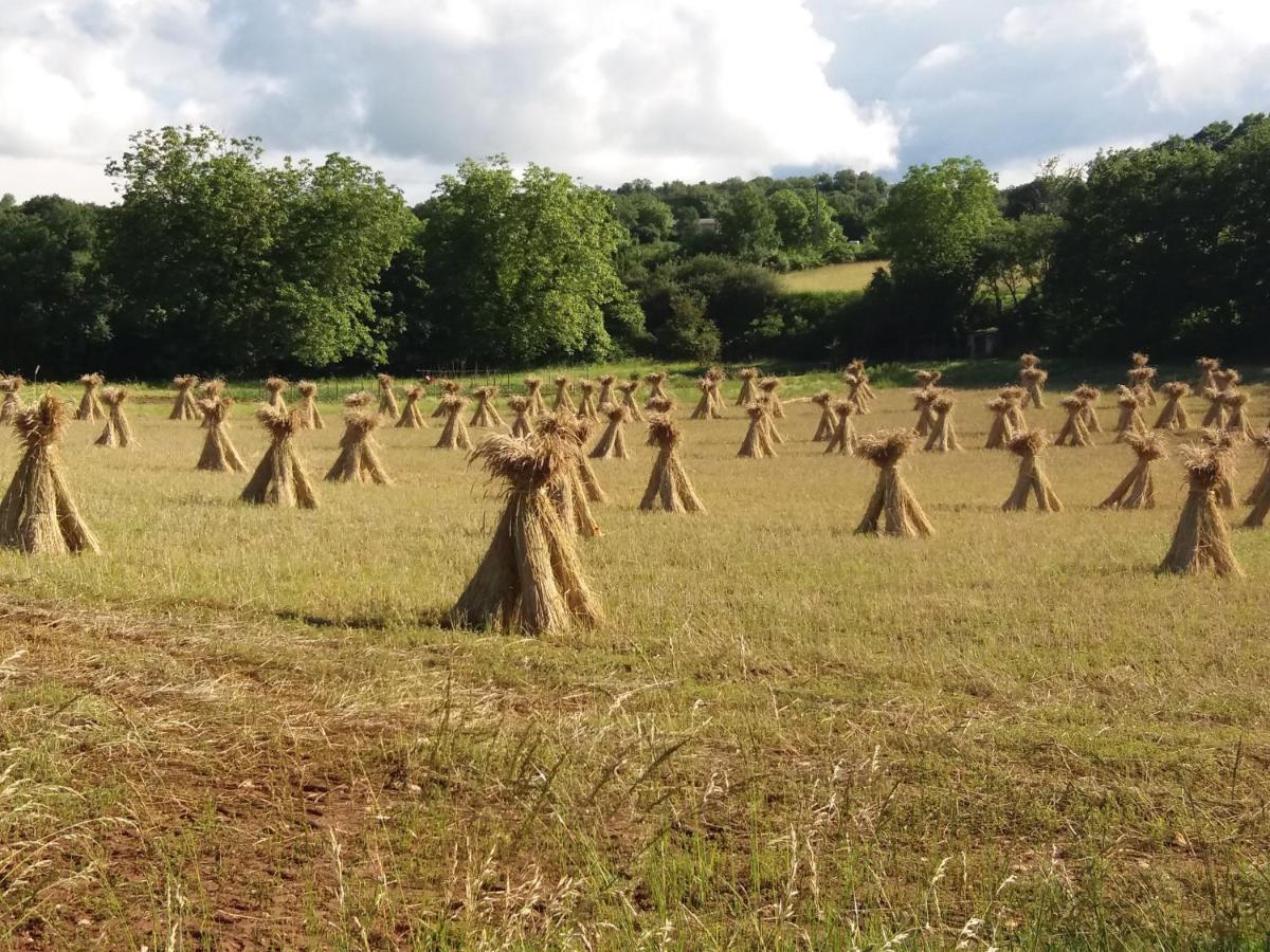 Les Trois Prunelles Saint-Pierre-Toirac Luaran gambar